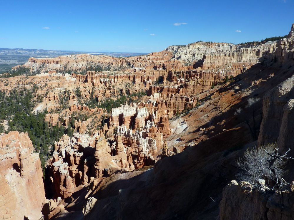 bryce canyon (200).JPG